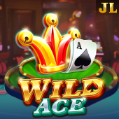 Wild Ace slot artwork